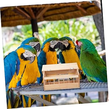 Amazon.co.jp: OUNONA 鳩 自動 給餌器 鳩 給餌器 鳥 ケージ 給餌